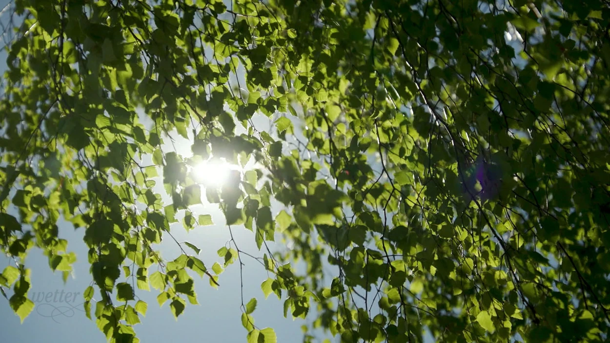 Das exklusive Wetter für den Alpenraum