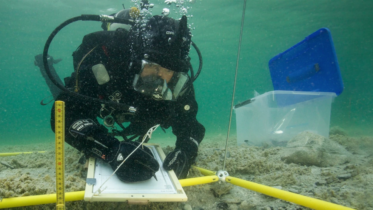 Im trüben Wasser der Geschichte: Pfahlbauten am Traunsee geben weiter Rätsel auf