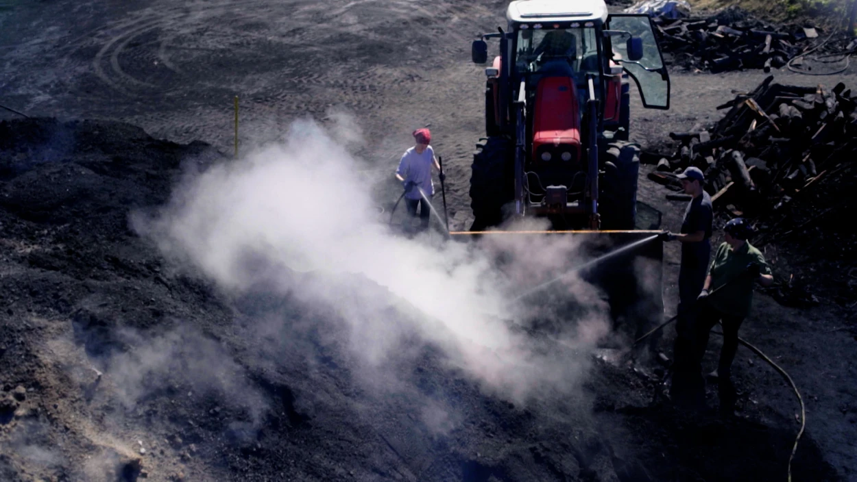 Die Kohle vom Wienerwald