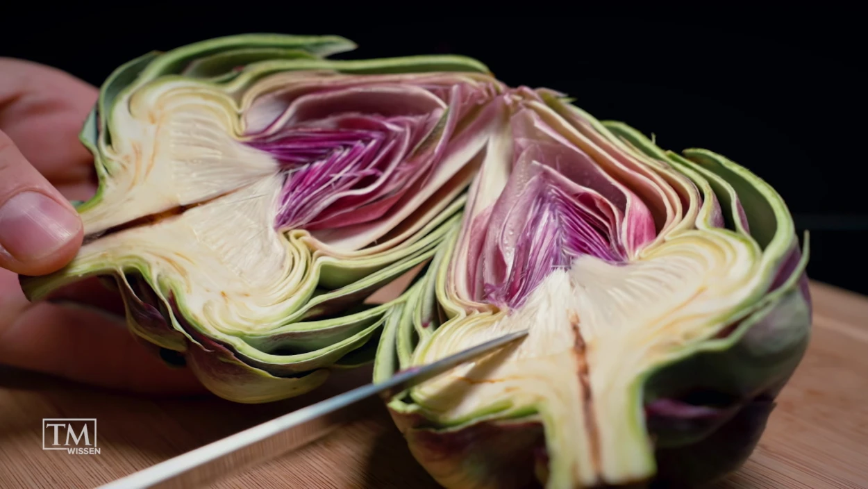 Was macht die Artischocke zur Heilpflanze?