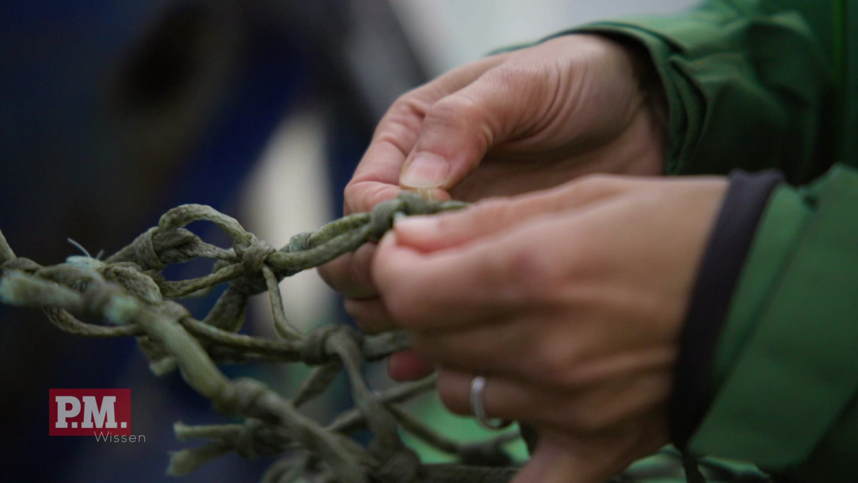 Wie werden verlorene Fischernetze aus dem Meer geholt?