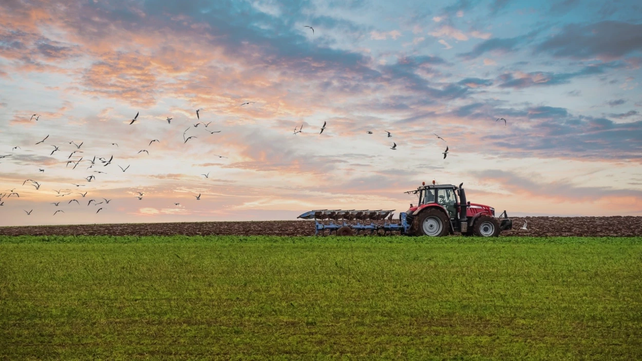 Saat, Hofleben, Neubeginn: Unterwegs am Hof zum Start ins Bauernjahr