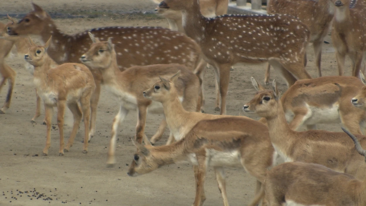 Servus Nachrichten in 90 Sekunden - 15:00 Uhr