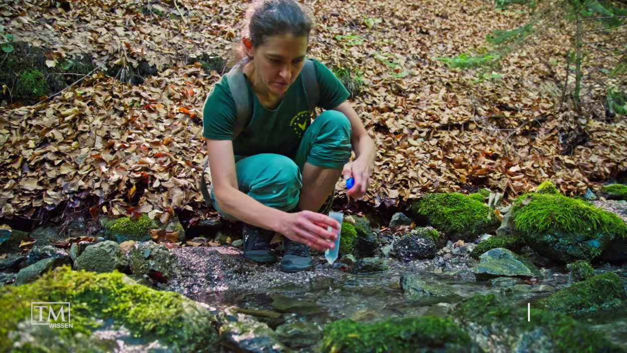 Wie gut ist unser Grundwasser?