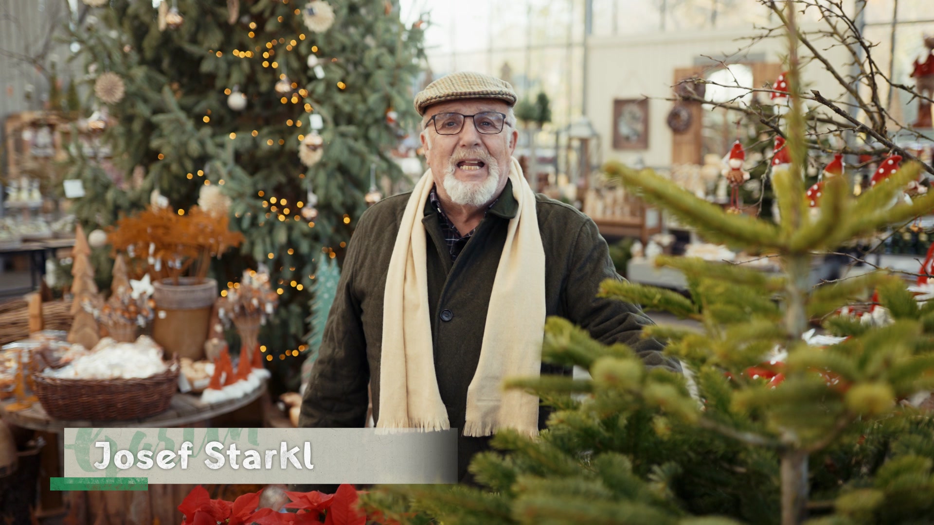 Garten-Tipps von Josef Starkl: Koniferen und Weihnachten