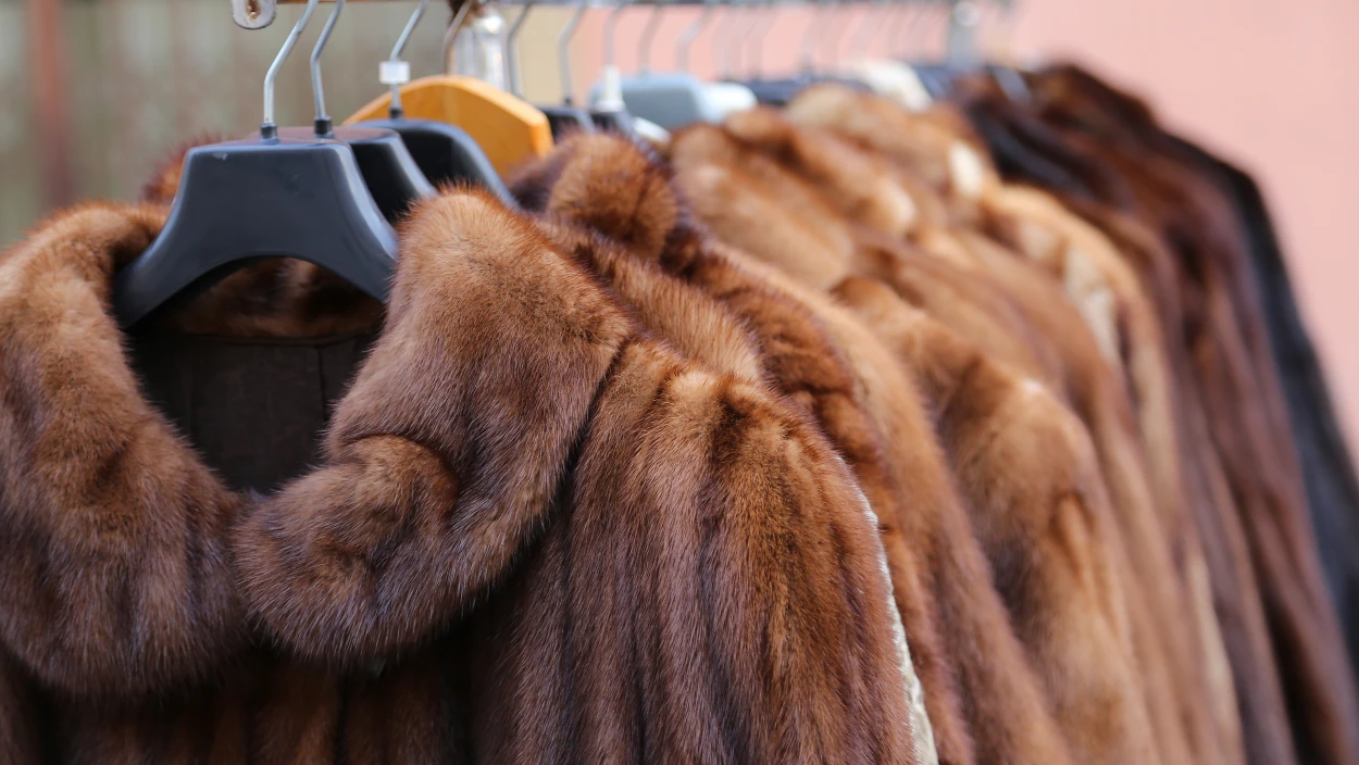 Dubiose Pelz- und Goldhändler haben Hochsaison