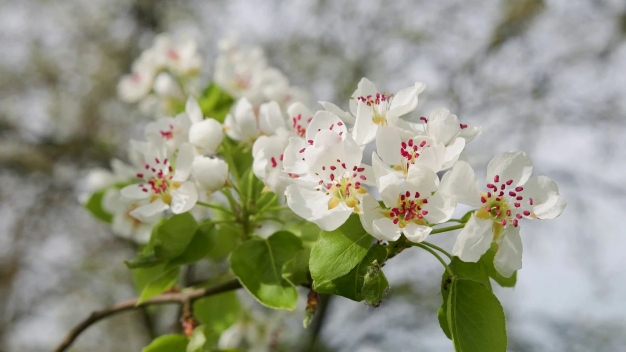 Von Schnee zu 25 Grad: Pünktlich zu Ostern wird es wärmer