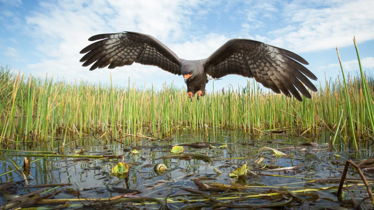 Geheimnisvolle Flüsse (2/2)