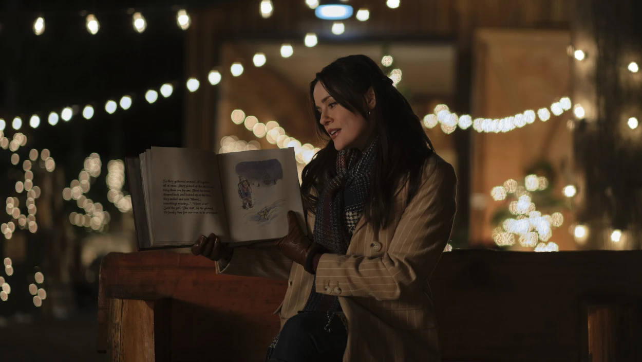 Das Weihnachtsbuch - Erinnerungen zum Fest