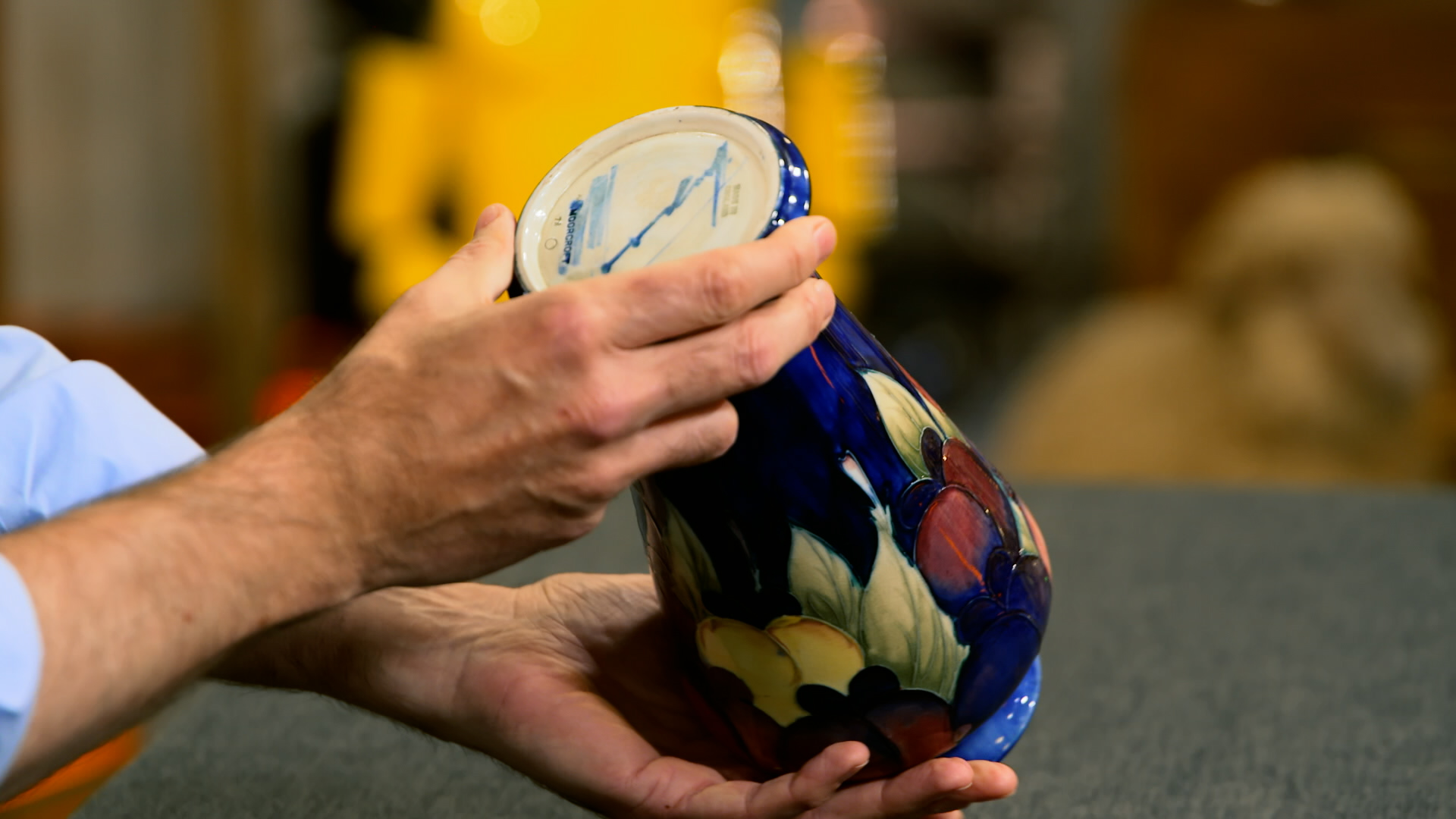 Bärenstarke Expertise