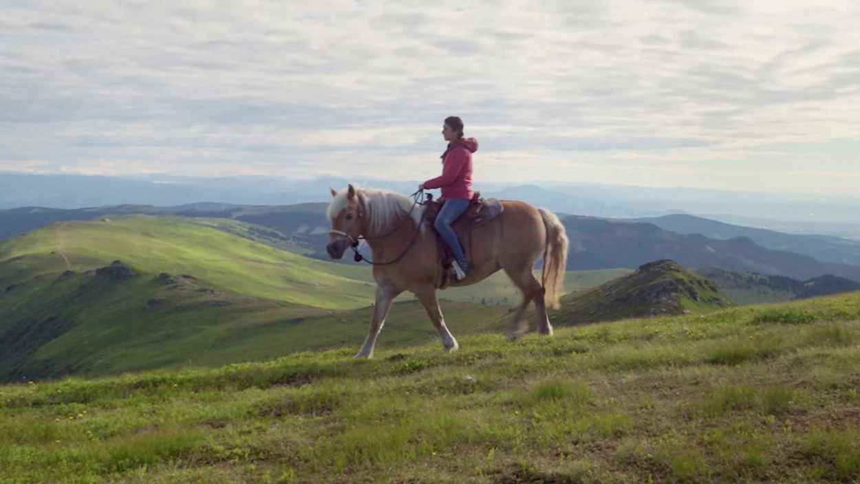 Neuanfang auf der Koralpe: Statt Management-Karriere ein Leben mit Pferden