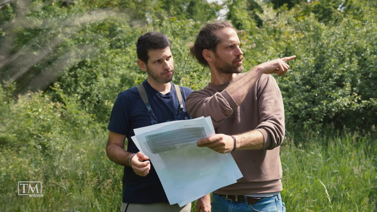 Was erzählen uns Naturgeräusche?