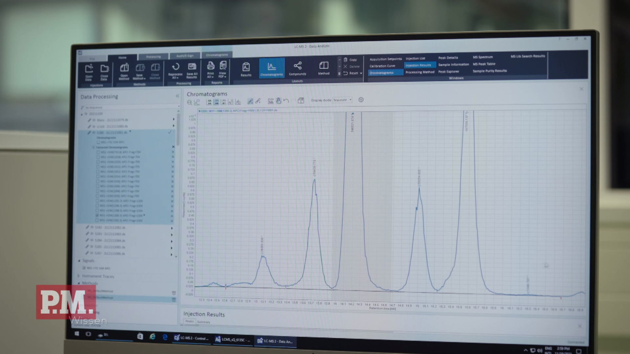 Wie beeinflusst der Temperaturanstieg das Leben im Meer?