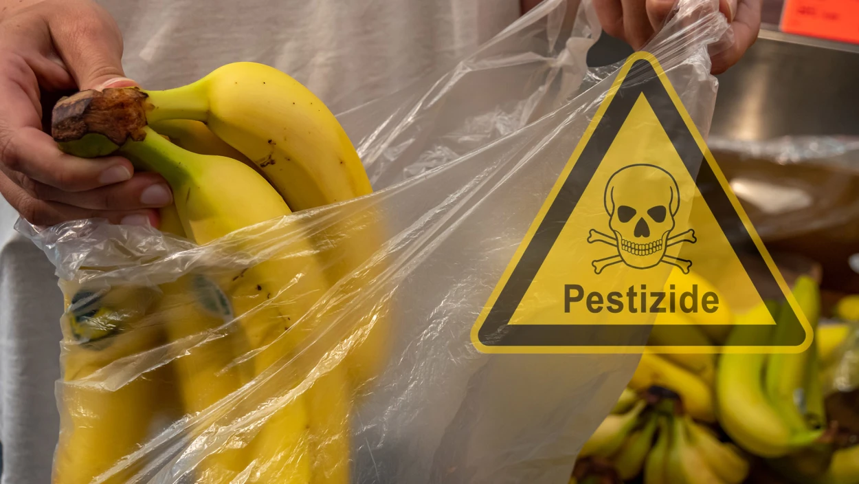 Risiko beim Einkauf: Importiertes Obst und Gemüse oft mit Pestiziden belastet