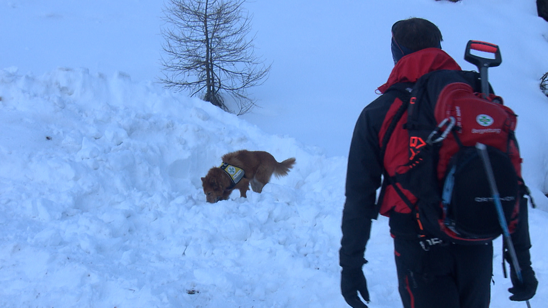 Lawinen-Alarm: Video zeigt Abgang | Nachrichten in 90 Sekunden