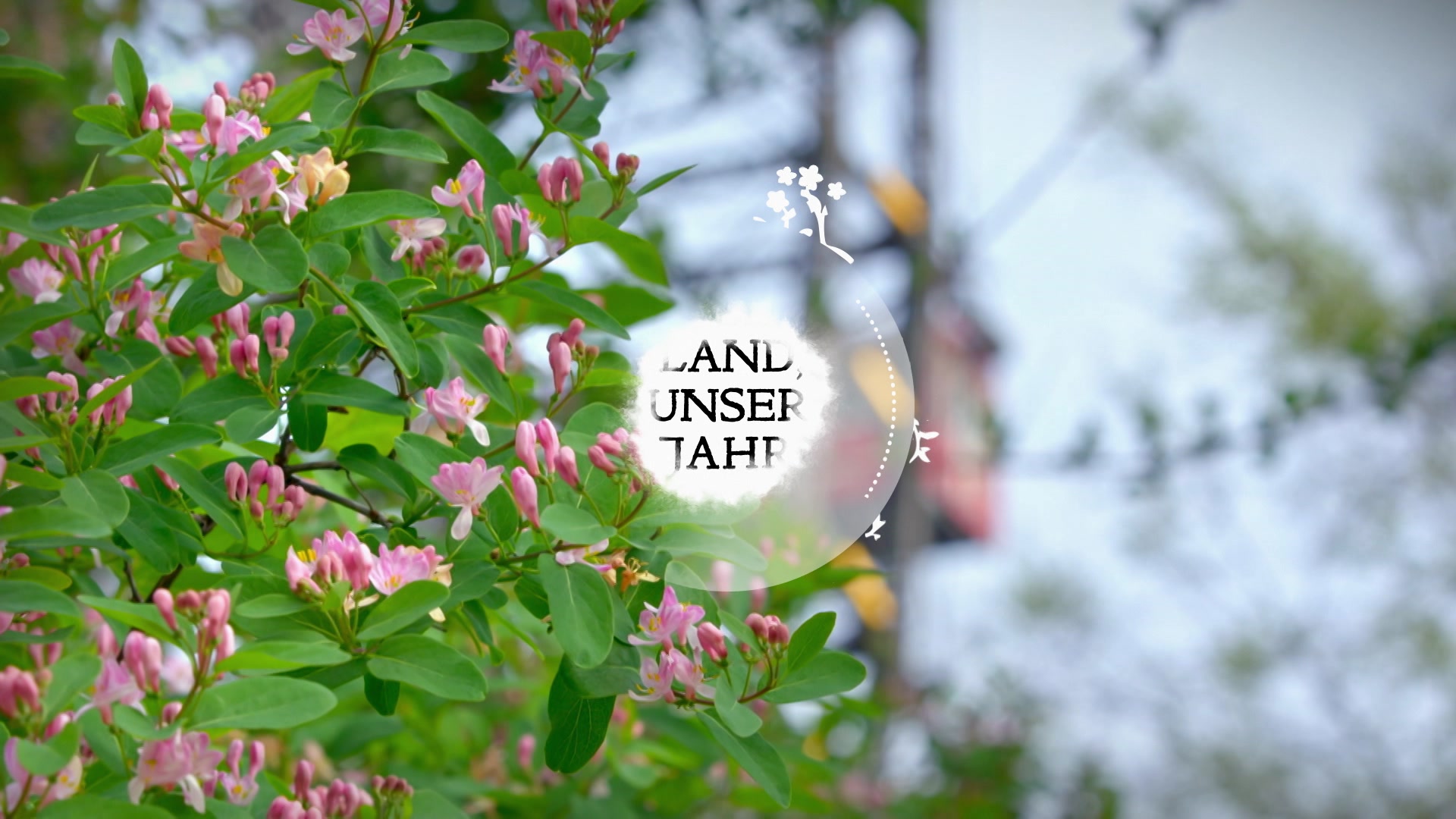 Vom bayrischen Anger über Salzburg nach Rom