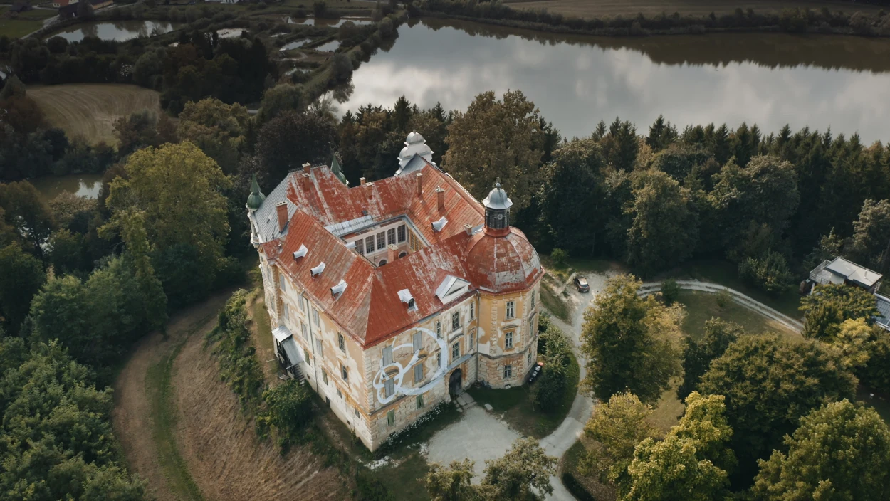 Von Wurzeln und Flügeln