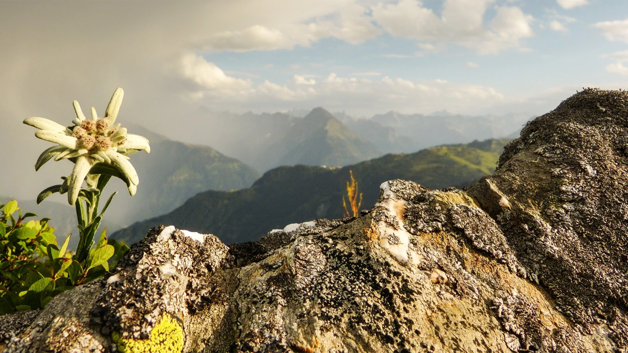 Wetter-Trend: Kurze Abkühlung, Wolken & Schauer – dann wieder Frühsommer & 20 Grad zum Wochenende!