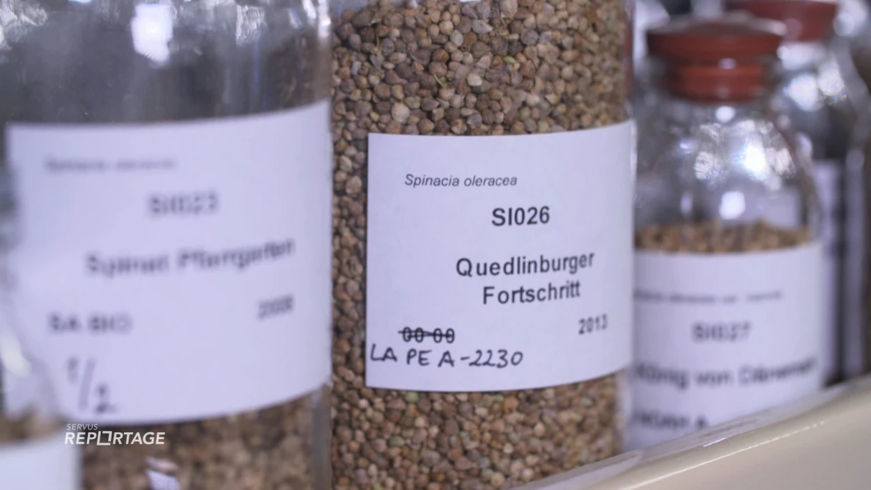 Böse Saat, gute Saat - Was essen wir morgen?