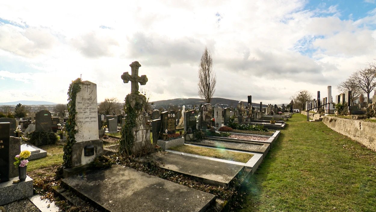 Bluttat am Wiener Friedhof: 14-Jährige soll nach Messerangriff wegen Mordes vor Gericht